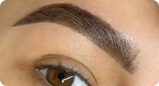 Eyebrow & Look Icone Imagem